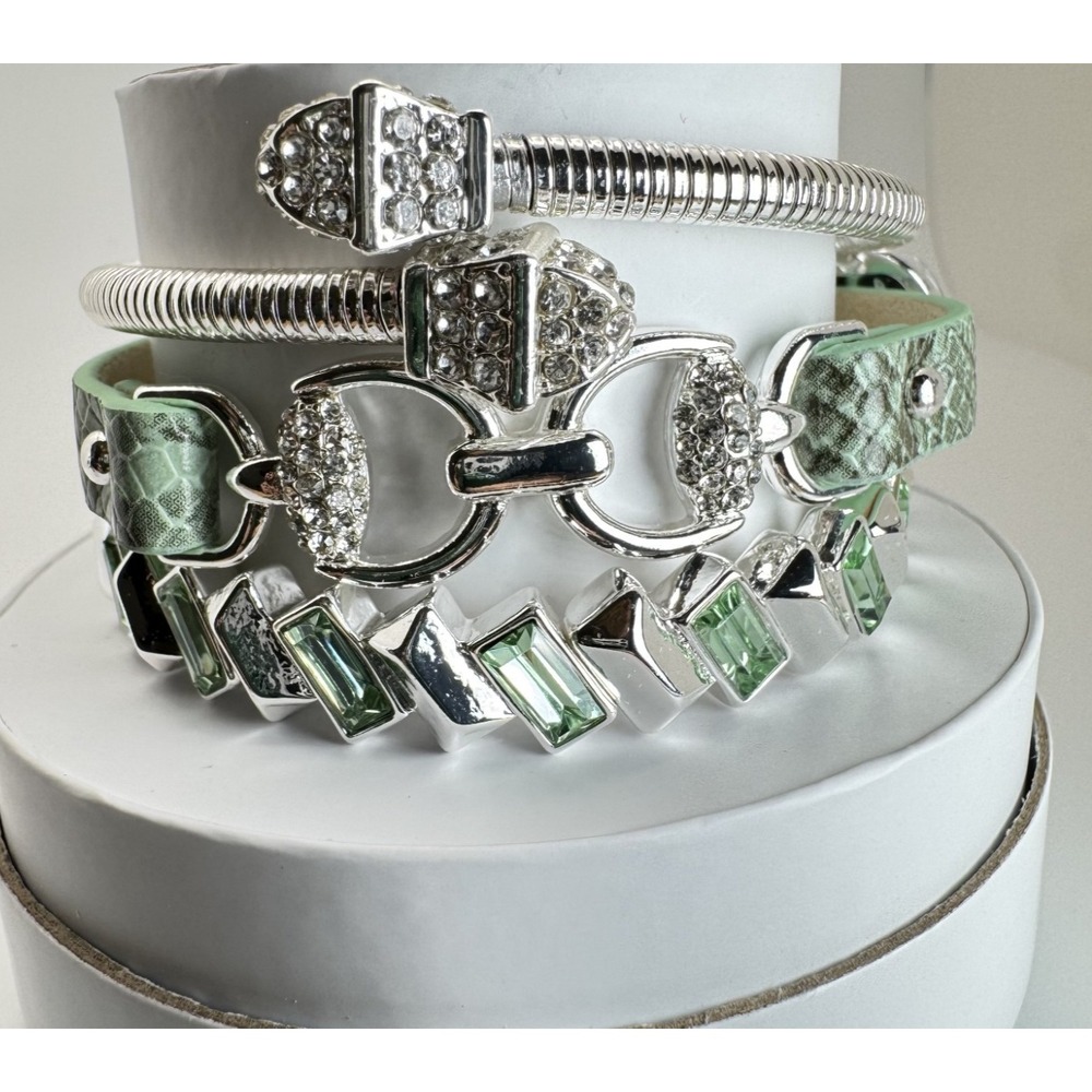 Bomb Party Summer '25 Luxe Stack - ST54503 "She's Green With Envy" On Silver